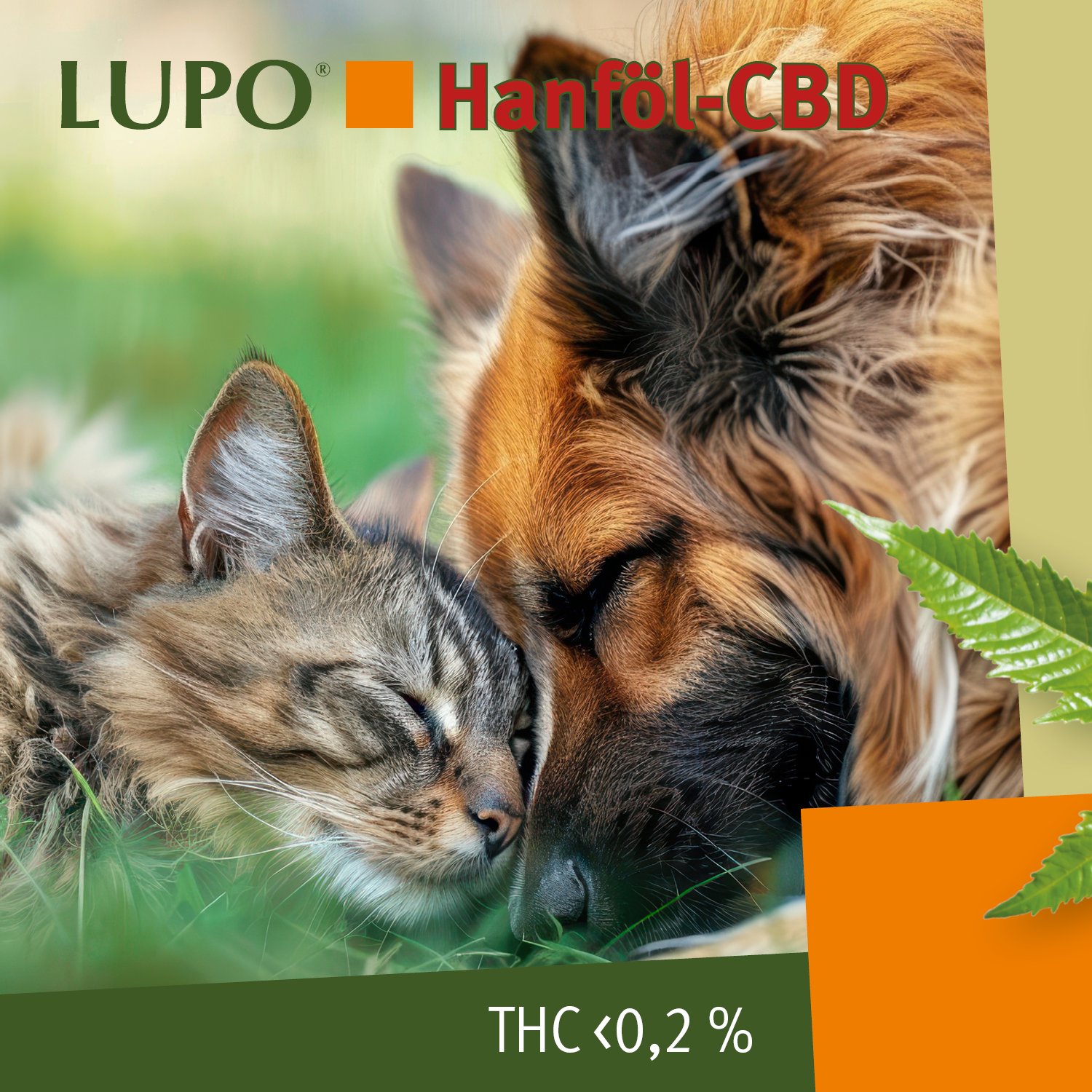 LUPO Hanföl-CBD 30ml